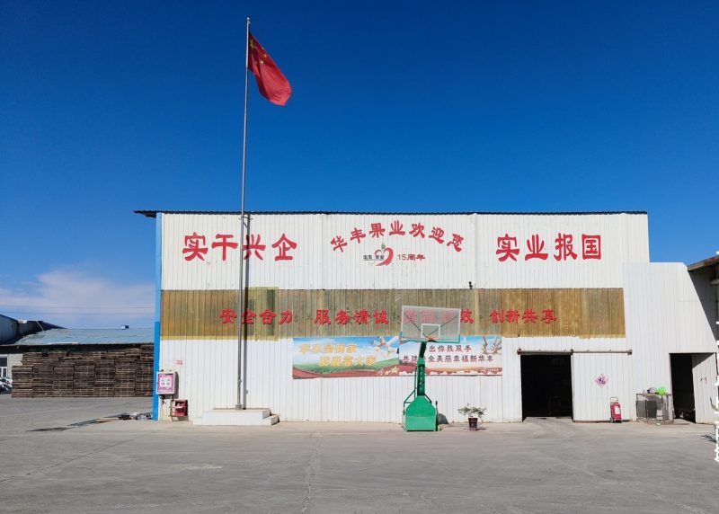 阿克苏华丰果业有限责任公司-官方网站-新疆鲜果干果收购分选|恒温冷链仓储|疆果东送大宗批发进出口|新疆冷库租赁 | 果品加工 | 鲜果采购销售批发零售 | 冷链仓储全链条服务商