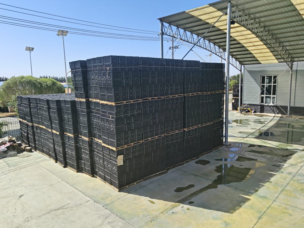 IMG20260828130304