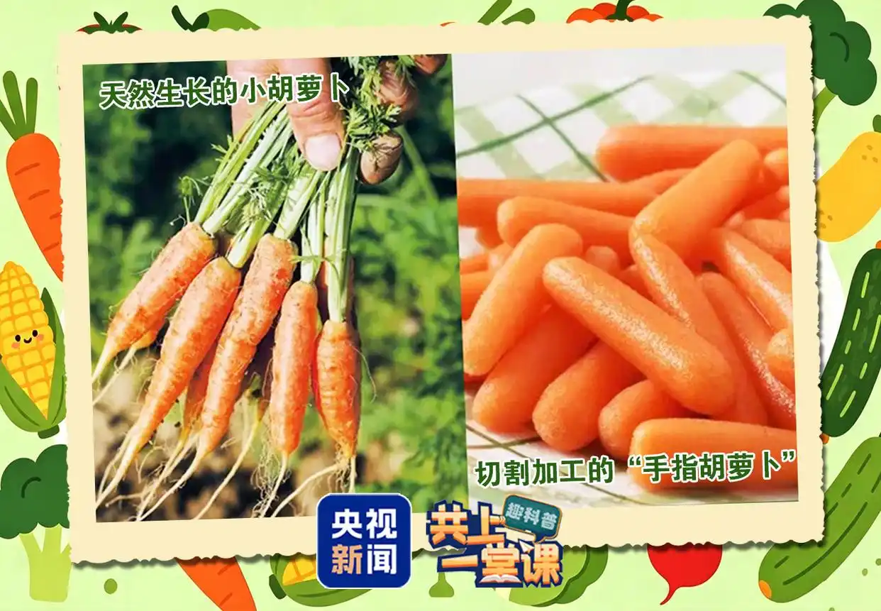 作为果蔬从业者|今天聊爆火的《水果型蔬菜》-阿克苏华丰果业有限责任公司官网