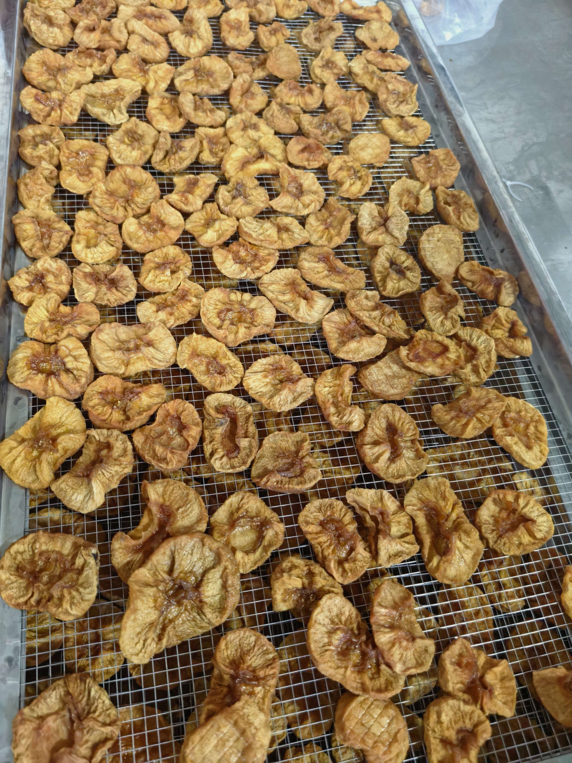 果干加工